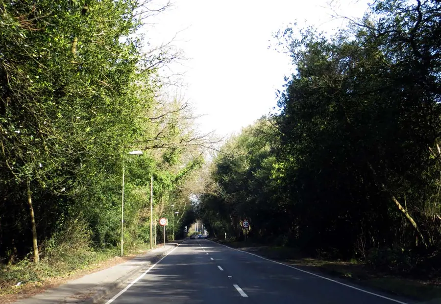 Nine Mile Ride in Crowthorne   geograph.org.uk   3920302