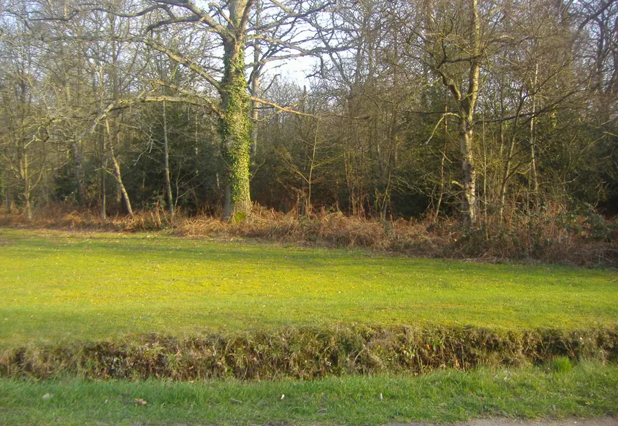 Gerrards Cross Common   geograph.org.uk   2299511