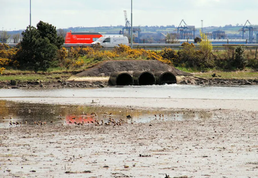 Whitehouse lagoon, Newtownabbey   geograph.org.uk   1813971