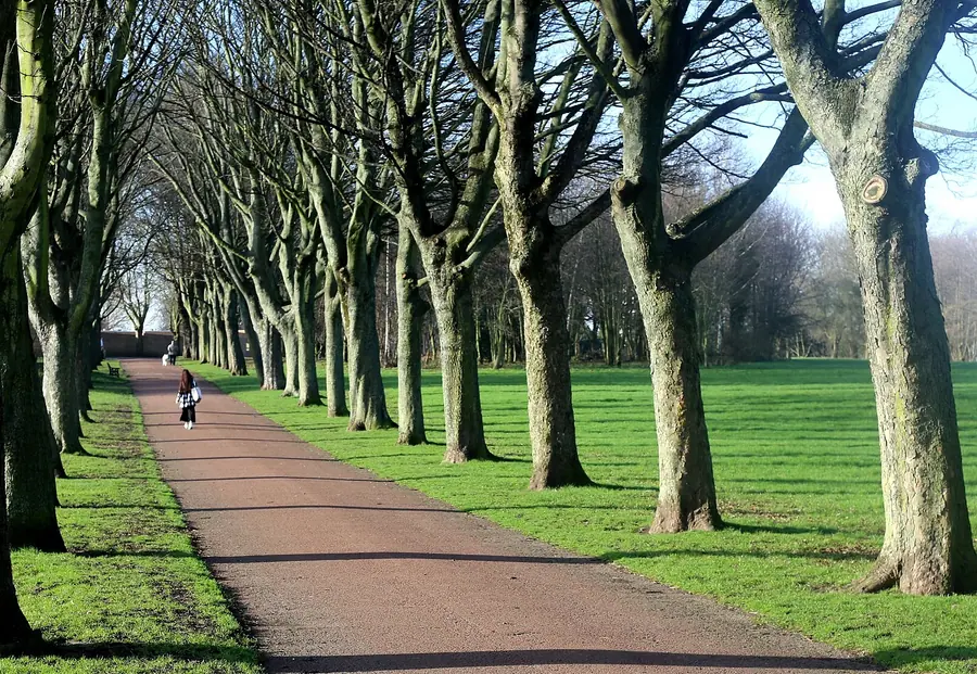 A view of Rotherham