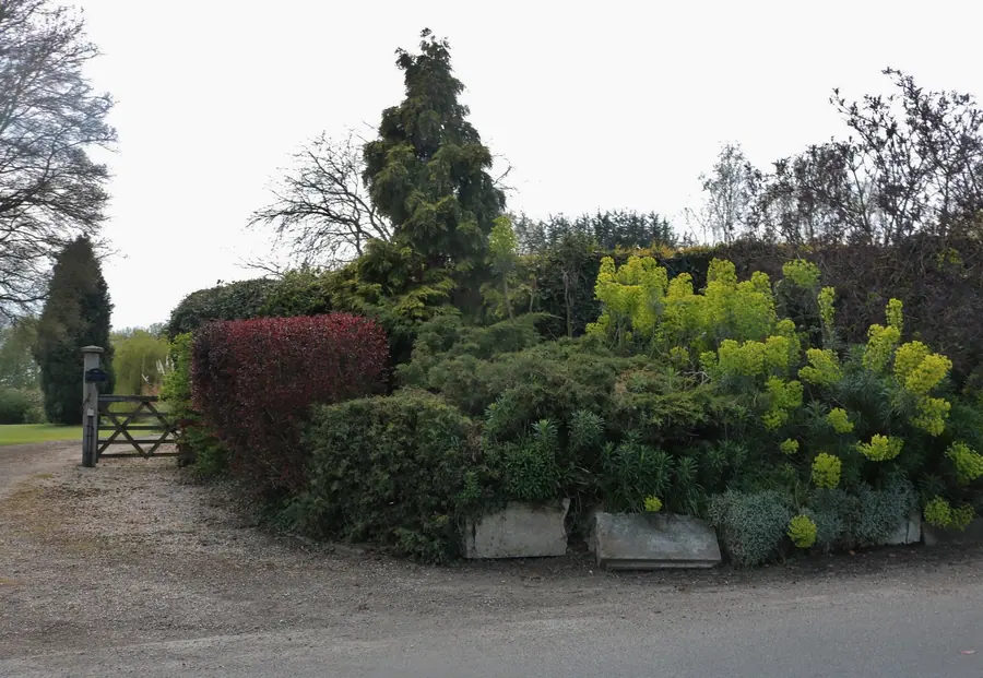 Garden on Parsonage Lane, Sawbridgeworth   geograph.org.uk   6122538